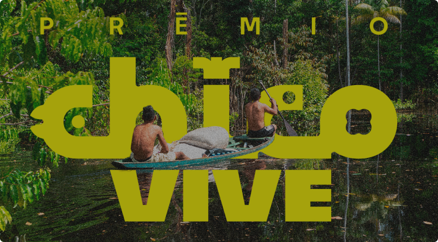 Prêmio Chico Vive